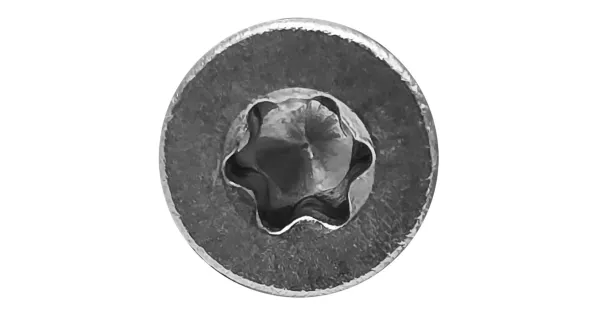WKRĘTY STOŻKOWE DO ŁUPKA 4,5x40 DO DREWNA NIERDZEWNE TORX 200szt PAN ŁĄCZNIK