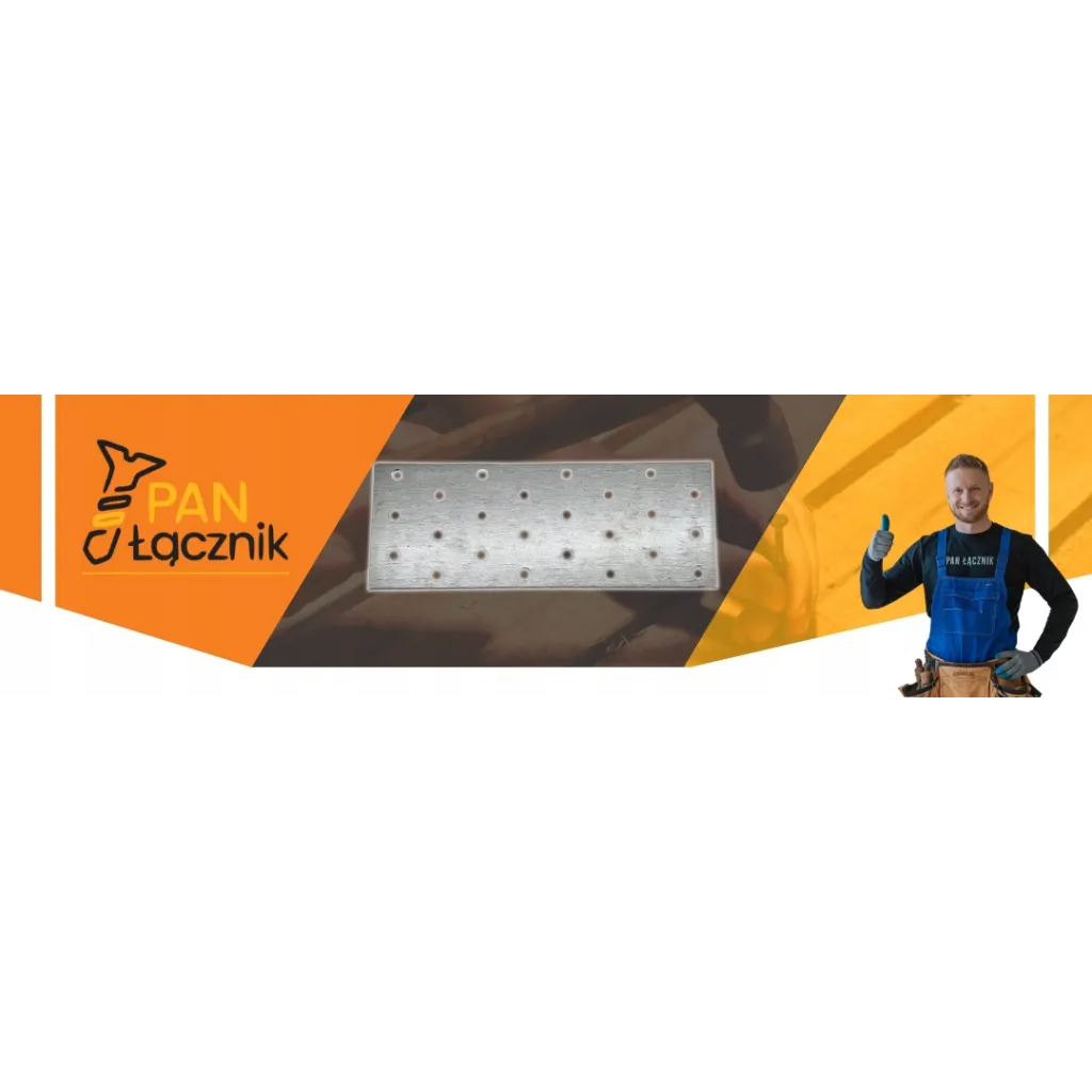 Płytka Perforowana Łącznik Ciesielki PP9 Płaskownik 160x60x2,0 Ocynk 10szt