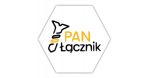 PRĘT GWINTOWANY M16 1m OCYNK STALOWY SZPILKA 1000mm Pan Łącznik