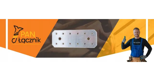 Łącznik Płaski Ciesielski Płaskownik 100x35x2 LP0 Montażowy Ocynk 10szt