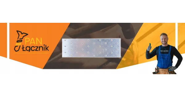 Płaskownik Płytka Perforowana PP10 Łącznik Ciesielski 200x60x2 Ocynk 10szt