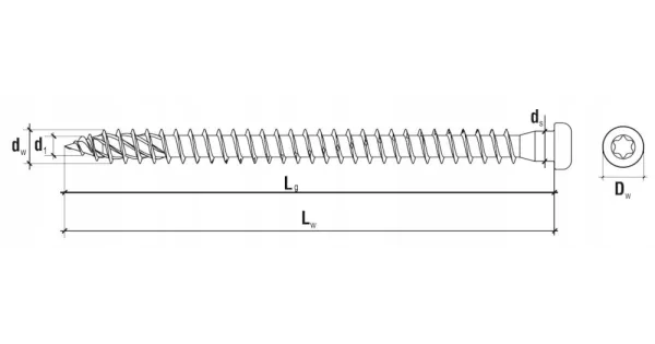 WKRĘTY DO ŁĄCZNIKÓW CIESIELSKICH 5x60mm TORX 250st